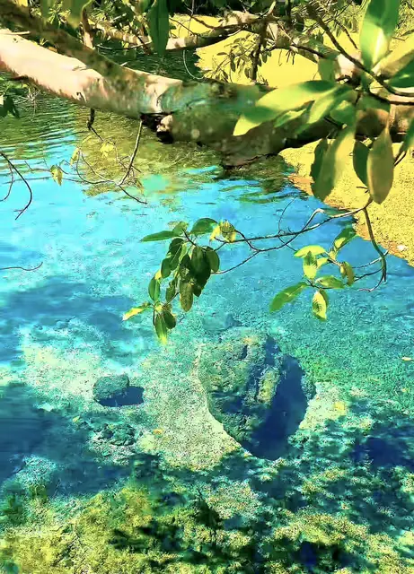 Águas cristalinas com pedras no fundo